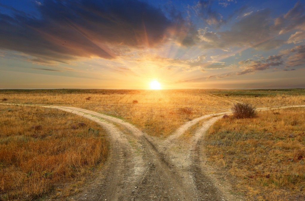 Fork roads in steppe on sunset background