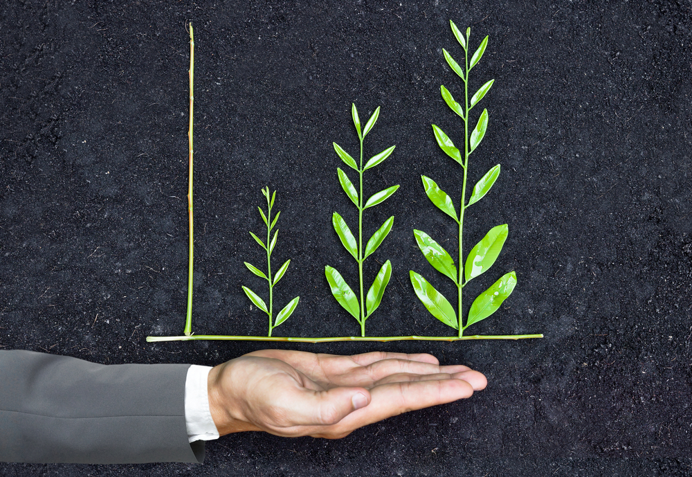 Sustainable_Growth