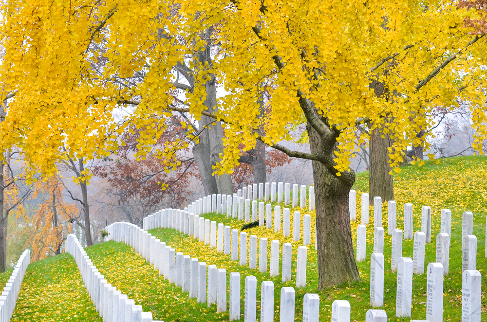 arlington-cemetery